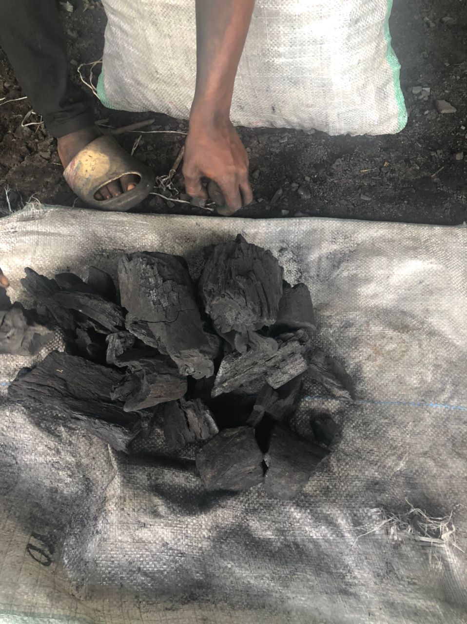 Lump Charcoal 1 Photo